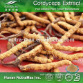 High Quality Cordyceps Sinensis Extract Powder,Cordyceps Sinensis Extract